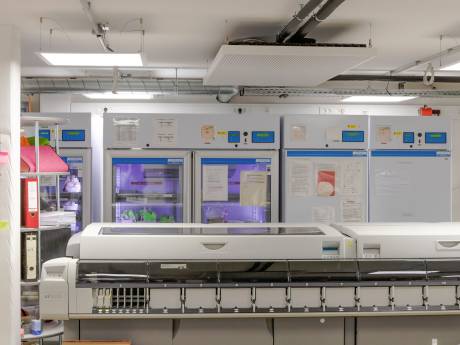 ... hervorragender Ausstattung,